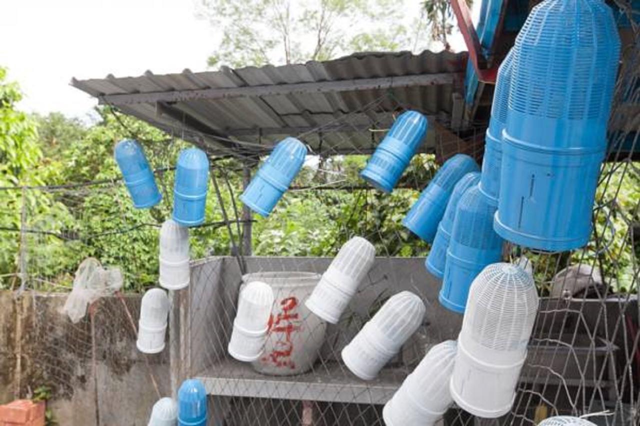 Da Nan Ao Homestay Suao Buitenkant foto